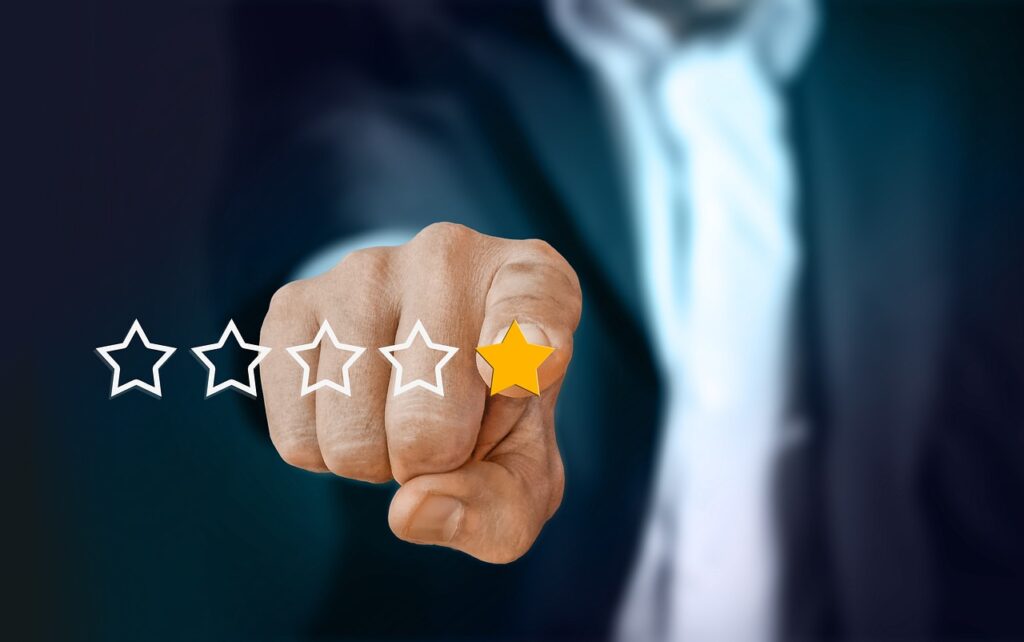 Independent Peer Review